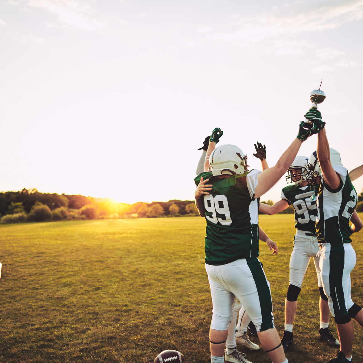 Arizona Boosters Foundation sports support